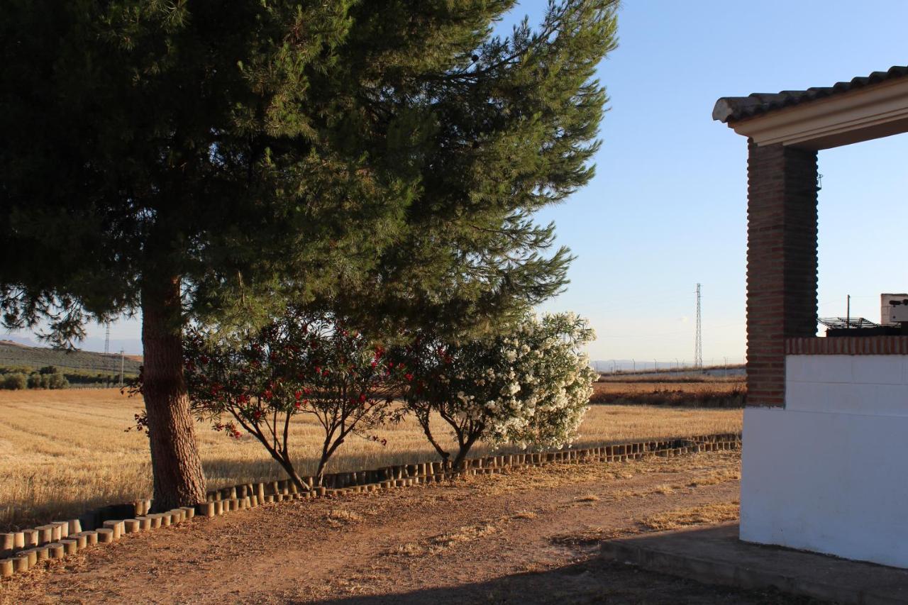 Casa Rural La Rosa De Los Vientos Fuente de Piedra Exteriör bild